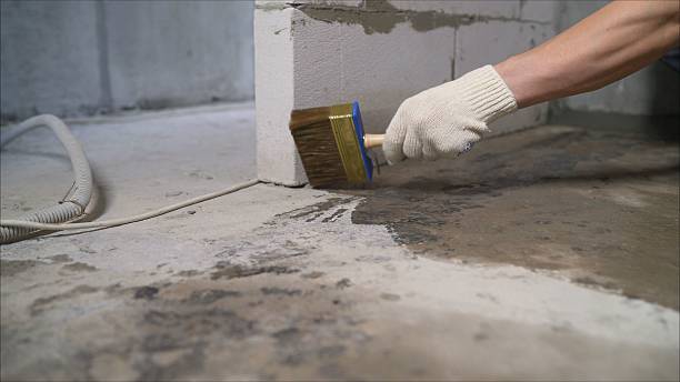 SJ Waterproofing Pros Emergency Waterproofing coverage map for Morley, MI and surrounding area